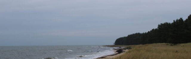 ILM HINGEDEKUUL | Novembris oli keskmisest soojem