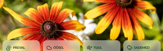 ILMATEADE | Kõrgrõhuala võtab võimust: ees ootavad kuivemad ja kuumemad päevad