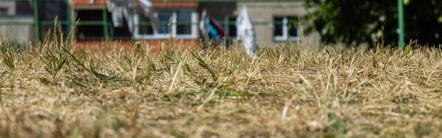 ILMATEADE | Kuni 26 kraadi! Suviselt sooja nädalat varjutavad põuaoht ja ülisuur tuleoht