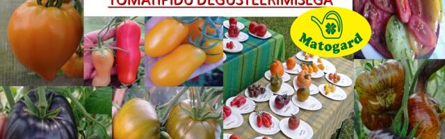 TOMATIPIDU DEGUSTEERIMISEGA