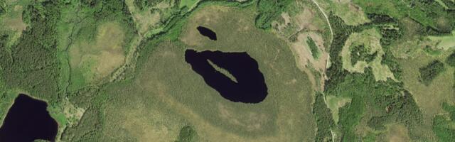 Maa-amet avaldas geoportaalis 2024. aasta ortofotod, mis katavad suure osa Eestimaast