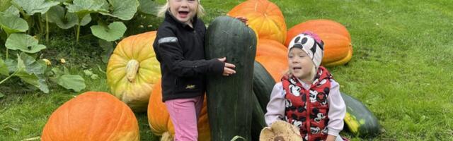 57-KILONE KÕRVITS | Johanna murdis lapsepõlves antud lubaduse