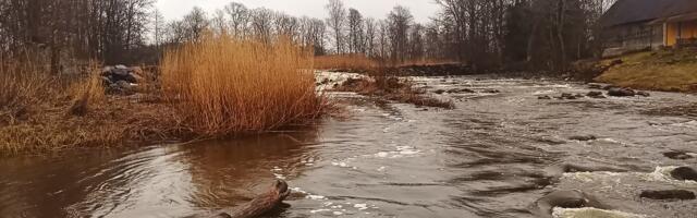 Läänemaa saab uue looduskaitseala