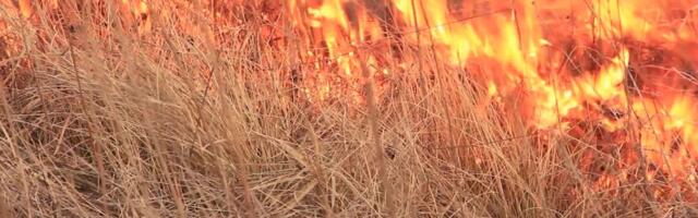 Reporter: Kulupõlengute hooaeg on alanud