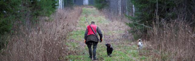 Kahes Valgamaa jahipiirkonnas korraldab jahti ajutiselt Keskkonnaamet