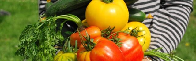 Inflatsiooni veab teenuste hinnatõus