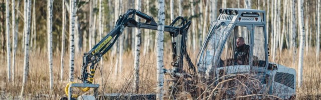 Raport: RMK on hävitanud kümne aastaga 5700 hektarit kaardistamata vääriselupaiku