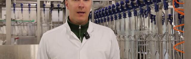 Eesti suurim mahemunatootja hakkas lihatöösturiks