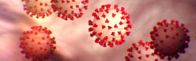 Esimeseks loeti koroonavaktsiini uudis