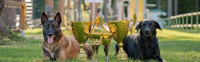 Vanglateenistus selgitas välja parimad narkokoerad ja nende juhid