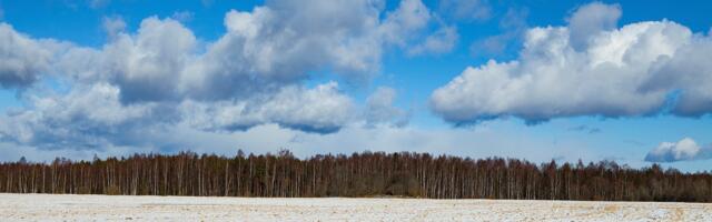 KOLUMN ⟩ Roland Tõnisson: Eesti minus eneses