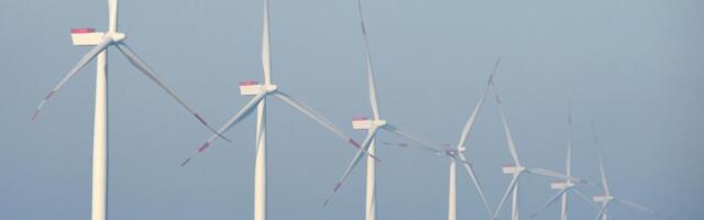 Uus šokeeriv uuring tõestab: tuuleenergia hullus hävitab Põhjamerd!