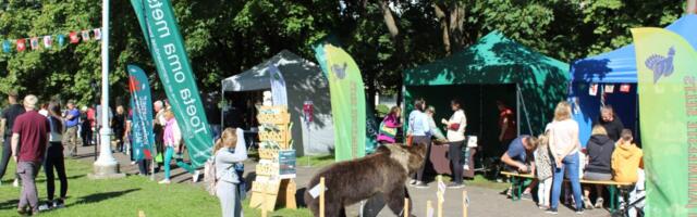 Jõhvis pärjatakse nii aasta parim metsamajandaja kui Eesti raiespordi meister