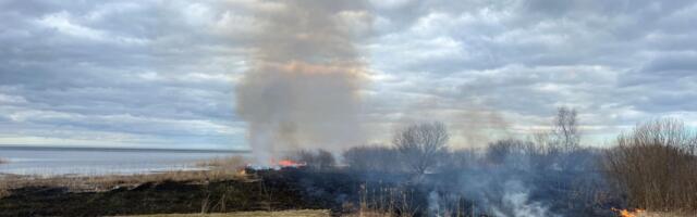 Päästeamet hoiatab: kulupõlengud on hüppeliselt kasvanud