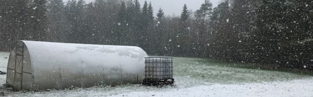 Lõuna-Eestis on lumi maas