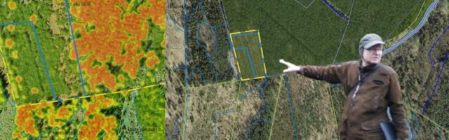 Õiguskantsleri hinnangul võeti Natura metsaelupaigad kaitse alla ebaseaduslikult