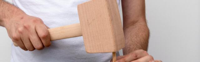 JUHTKIRI: Viimsi vallavõim tahab uue üldplaneeringu kiirkorras ära koputada*