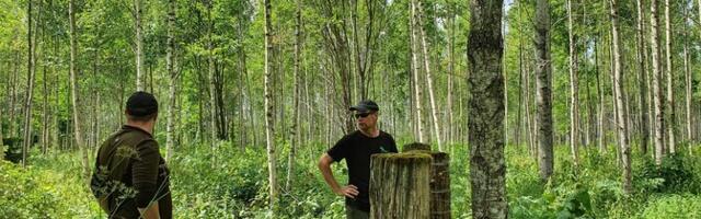 Soome metsaomanikud muretsevad kliimamuutuste mõju pärast metsadele