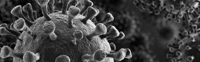 Eestist sai COVID-19 nakatumistelt esimene riik