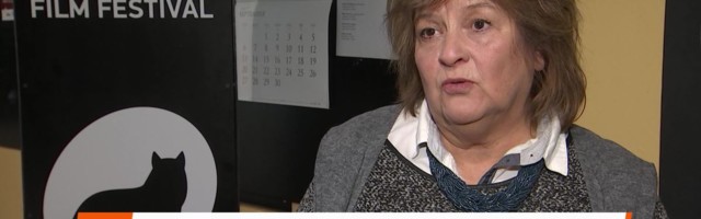 Reporter: PÖFF kolib osaliselt internetti