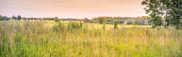 Eelmiseks “fosforiidisõjaks” olid olemas tingimused, praegu ei pruugi rahvas enam üles tõusta