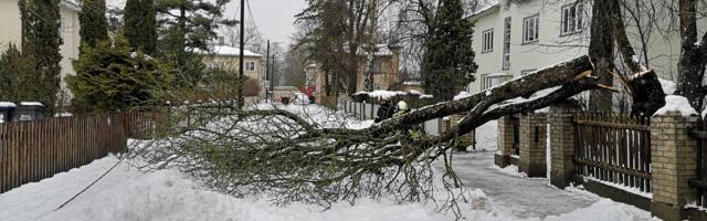 Lõuna-Eesti päästjad said väljakutsed Tartust, Võrust ja Viljandimaalt