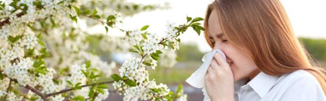 7 namirnica koje smanjuju alergije: Ako patite od njih ovo obavezno jedite (FOTO)