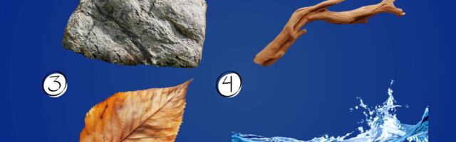 Vali üks kujund ja vaata, mida see paljastab sinu sisemise rahu ja emotsioonide kohta