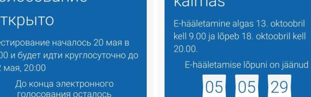 Valimiste ametlik veebileht kuvas inimestele eksitavat infot