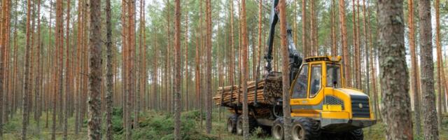 RMK teenis ligi 80 miljonit eurot kasumit 