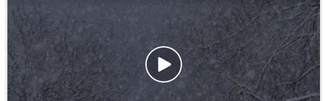 Apostel ja evangelist Johannese päevaks -