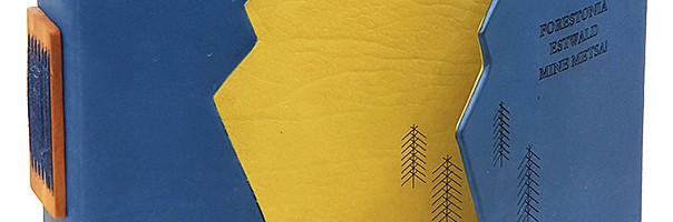 Värvikirev köitekunstinäitus ERMi raamatukogus