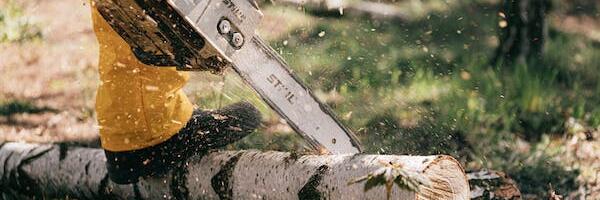 REPLIIK: Viimsi vallavõim võiks võtta eeskuju Elvast