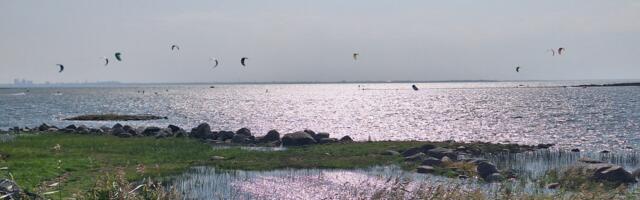 LUGEJA FOTO: Rohuneemes nagu Roheneemes