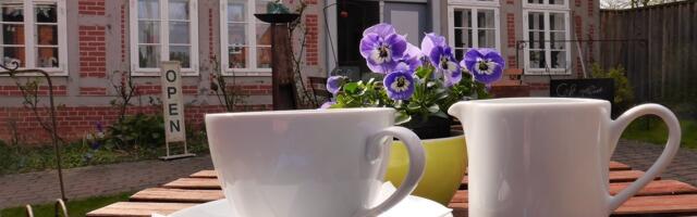 Tahaks kodust välja? Vaata restorani soovitusi!