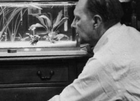 Kriitikaauhinna kandidaadid 2020