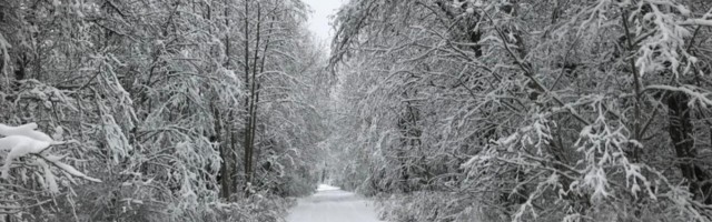 Kanada tenor: “Kõik tahaksid praegu Eestis olla” Uued Uudised