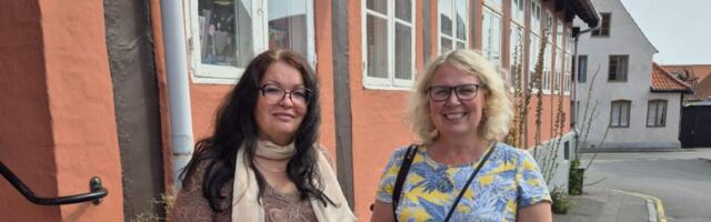 MEILE KIRJUTATAKSE | Kas iseteenindus päästab raamatukogud?