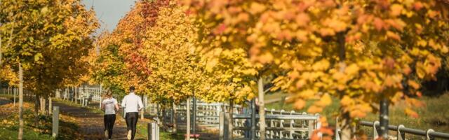 ILMATEADE | Nädala teine pool toob endaga kaasa vihmased ja jahedad ilmad