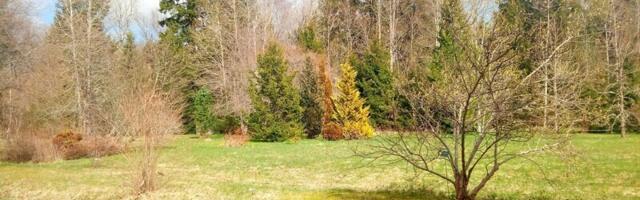 Kas pool-looduslik või hoopis koos-looduslik? Teoreetilise bioloogia kevadkoolis arutlesid sel teemal ka teadusfilosoof Edit Talpsepp ja biosemiootik Kalevi Kull