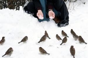 Lõputu töö ühe tabelipoolega