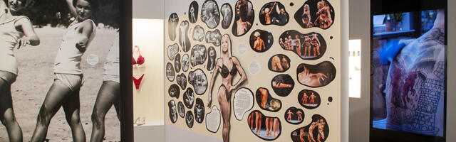 ERMi fookuses on keha