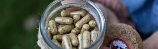 Punase kärbseseene kapslite müüja suhtes alustati menetlust