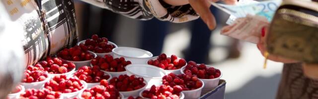 Lasnamäe päeva üritusele otsitakse kauplejaid