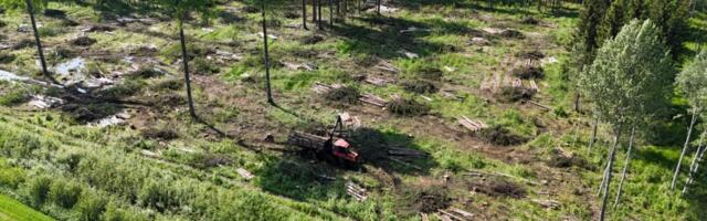 Nagu lageraiest veel vähe oleks – välisfirmad võtavad Eesti metsad sihikule