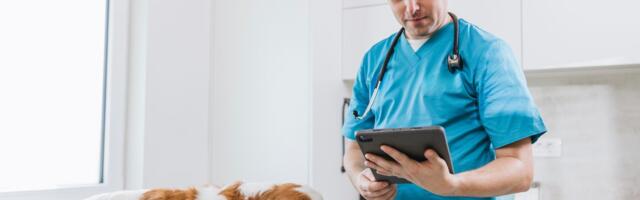 Erlihioza, dijagnoza koja je izazov čak i za veterinare: Jedan od najčešćih simptoma KRVARENJE IZ NOSA