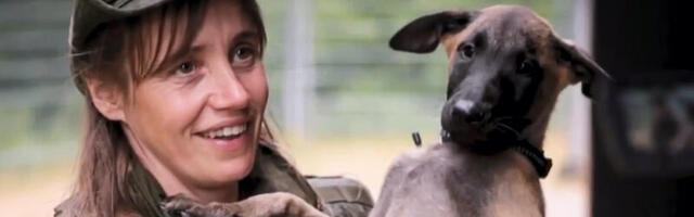 INTERVJUU ⟩ PPA heidab kotkaristi kuldristiga pärjatud koerajuhi süstimisest keeldumise tõttu üle parda