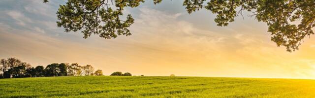 Täna alustab hindamiskomisjon "Parim talu 2023" ringsõitu, kandideerib rekordarv talusid