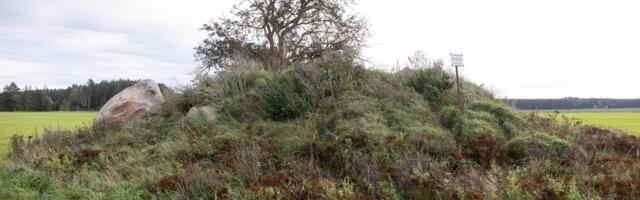 Põllumeest süüdistatakse Rootsi kuninga haua hävitamises