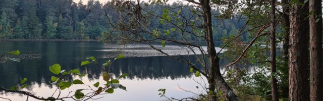 Chris Kala vlogi #22: looduses olemise võlud